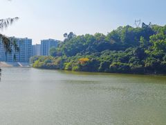 -火炉山森林公园