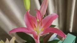 -奥本科技美肤·养生SPA