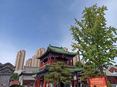 -天津大悲禅院
