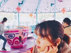 -疯帽子旋转杯