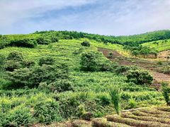 -缥缈峰景区