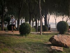 -丁香湖公园