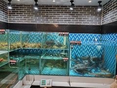 -农汤老店(顺联公园里店)