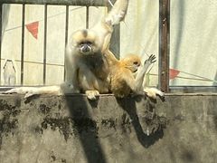 -昆明动物园