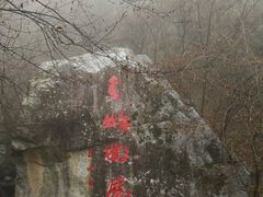 -青峰峡国家森林公园