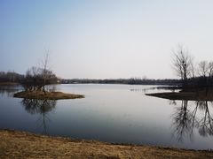 -东郊湿地公园