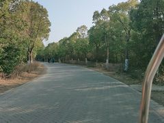 -上海海湾国家森林公园