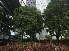 -深圳四季酒店·馥自助餐厅