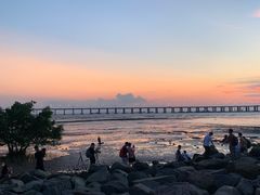 -宝安西湾红树林湿地公园