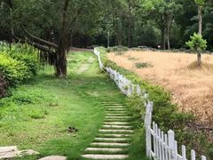 -南宁良凤江国家森林公园