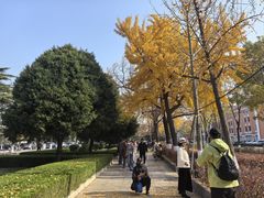 -大连人民广场