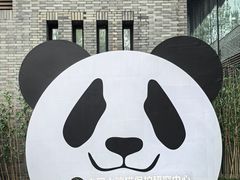 -都江堰中华大熊猫苑