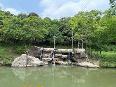 -宁波野生动物园