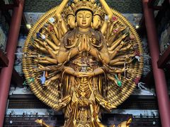 -上海东林寺(金山区)