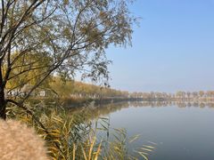 -野鸭湖国家湿地公园