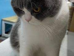 -贝利宠物医院·骨科·眼科·肿瘤转诊中心(南坪诊疗中心)