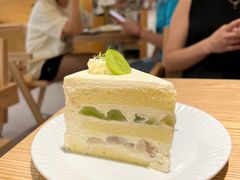 -猫里有甜