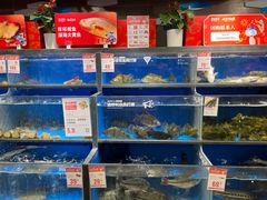 -盒马鲜生(双清路店)