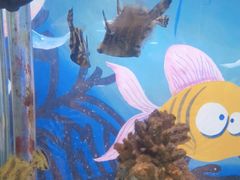 -太平洋海底世界