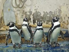 -太平洋海底世界