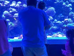 -太平洋海底世界