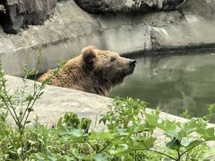 -宁波野生动物园