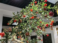 -元鼎宝驴香·全驴宴(江宁店)