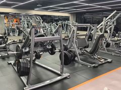 -健身专家Wellness Experts