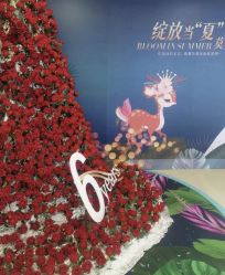 -丰联丽格医疗美容·联合丽格眼整形中心