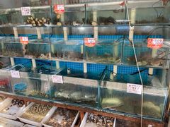 水产区-天伦海鲜·老味道·青岛菜(栈桥天主教堂店)