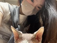 -琪喵猫屋·撸猫猫咖·猫舍