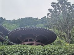 -西安华清御汤酒店