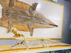 -广州长隆飞鸟乐园