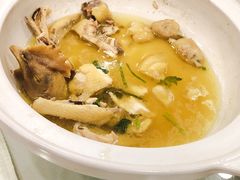 -清心鸡沙田乳鸽店·非遗传承(石溪店)