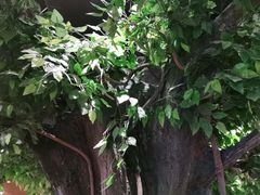 -原味田园·客家菜·土窑鸡(中航城君尚购物中心店)