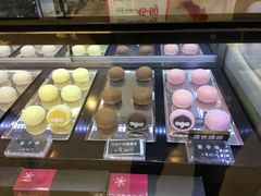 -西树泡芙(凯德晶品店)