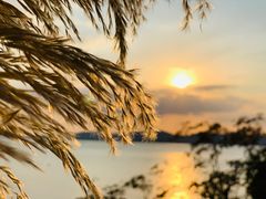 -上海市保健医疗中心