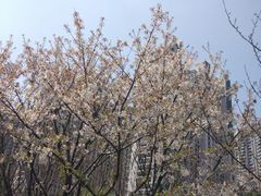 -苏州河梦清园环保主题公园