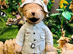 -济州岛泰迪熊博物馆