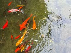 -九江双蒸博物馆