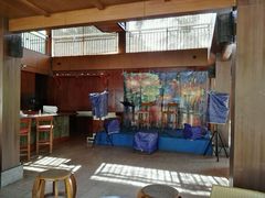 -西双版纳洲际度假酒店兰吧