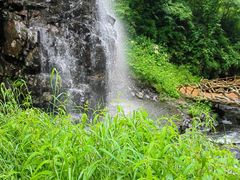 -凤凰山国家森林公园