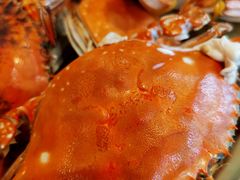 -开海·红岛海鲜虾水饺(石老人店)