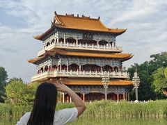 -禹州森林植物园