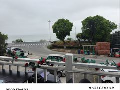 -美味之家·湖景农家乐(太湖东山店)
