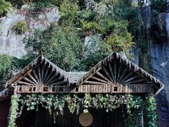 -西双版纳原始森林公园