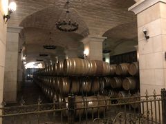 -北京张裕爱斐堡酒庄