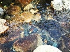 -祁门牯牛降观音堂风景区