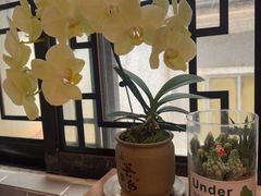 -山水茶艺馆·点心粤菜·30年老字号