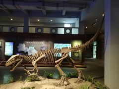-自贡恐龙博物馆
